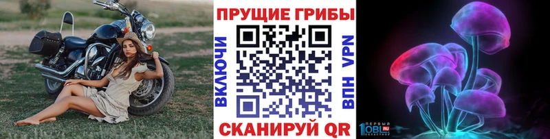 купить наркотик  Томари  Галлюциногенные грибы ЛСД 