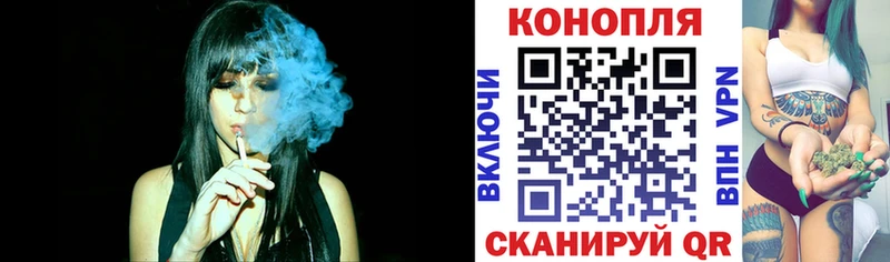 Бошки Шишки тримм  Томари 